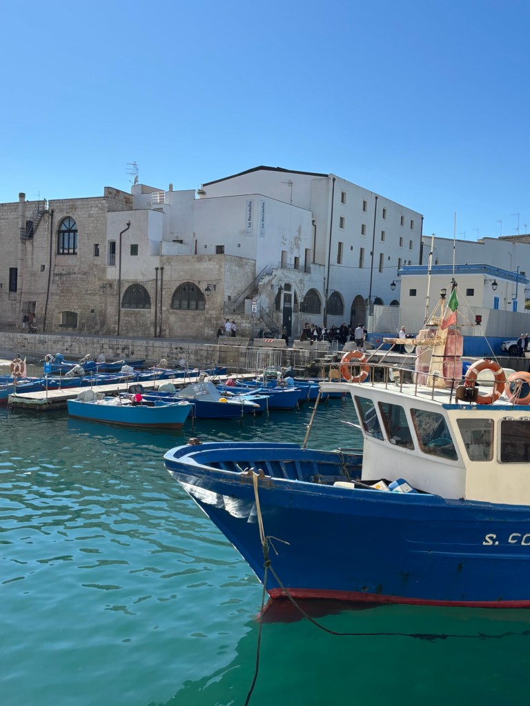 Blue fishing boats moored in turquoise harbor water, with white and stone waterfront buildings behind them.