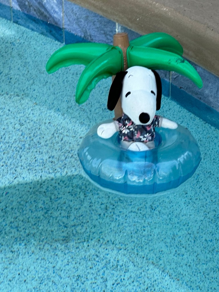Traveling Snoopy floating in a blue pool on a miniature inflatable ring